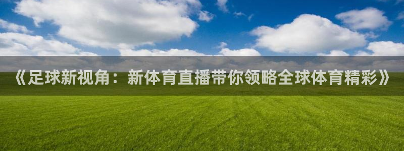 《足球新视角：新体育直播带你领略全球体育精彩》