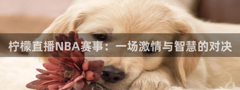 柠檬直播NBA赛事：一场激情与智慧的对决