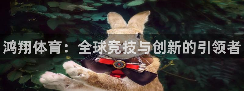鸿翔体育：全球竞技与创新的引领者
