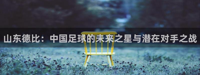 山东德比：中国足球的未来之星与潜在对手之战