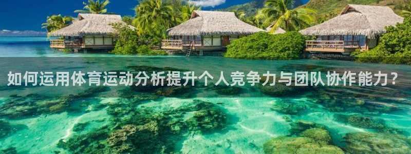 如何运用体育运动分析提升个人竞争力与团队协作能力？