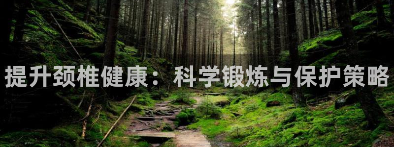 提升颈椎健康：科学锻炼与保护策略