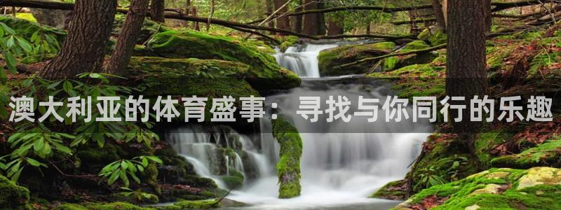 澳大利亚的体育盛事：寻找与你同行的乐趣