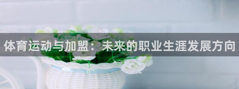 体育运动与加盟：未来的职业生涯发展方向