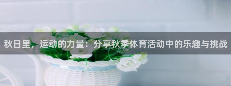 秋日里，运动的力量：分享秋季体育活动中的乐趣与挑战