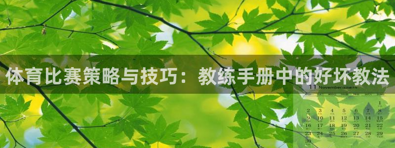 体育比赛策略与技巧：教练手册中的好坏教法