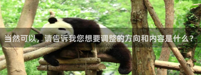 当然可以，请告诉我您想要调整的方向和内容是什么？