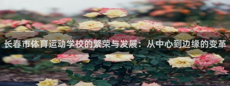 长春市体育运动学校的繁荣与发展：从中心到边缘的变革