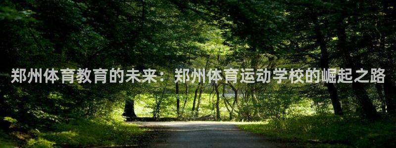 郑州体育教育的未来：郑州体育运动学校的崛起之路