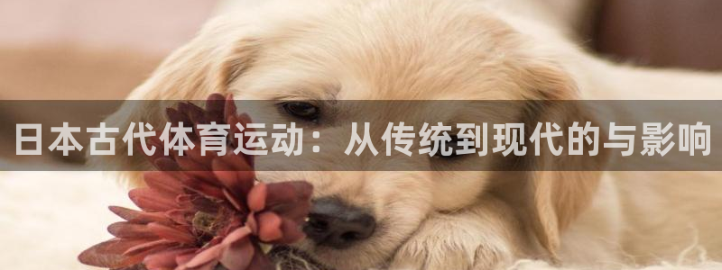 日本古代体育运动：从传统到现代的与影响