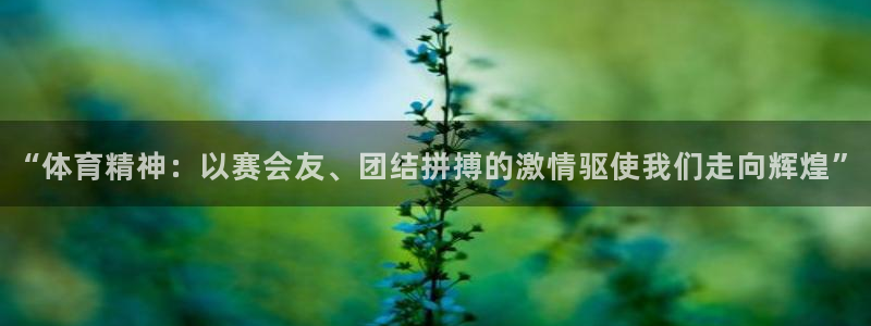 “体育精神：以赛会友、团结拼搏的激情驱使我们走向辉煌”