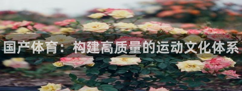 国产体育：构建高质量的运动文化体系