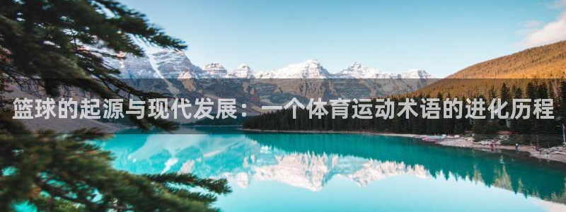 篮球的起源与现代发展：一个体育运动术语的进化历程