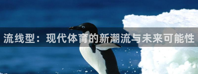 流线型：现代体育的新潮流与未来可能性