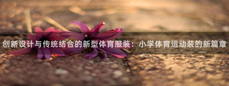创新设计与传统结合的新型体育服装：小学体育运动装的新篇章