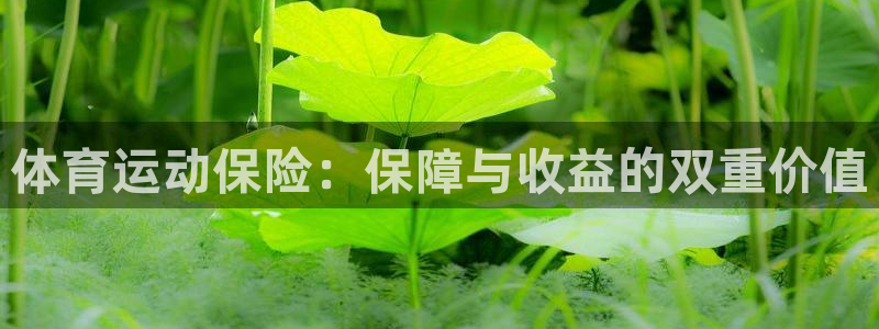 体育运动保险：保障与收益的双重价值