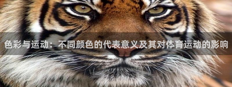 色彩与运动：不同颜色的代表意义及其对体育运动的影响