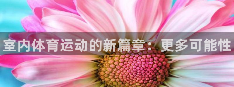 室内体育运动的新篇章：更多可能性