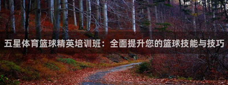 五星体育篮球精英培训班：全面提升您的篮球技能与技巧