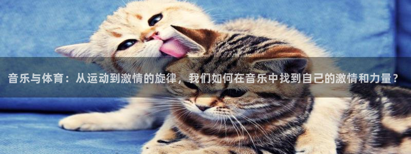 音乐与体育：从运动到激情的旋律，我们如何在音乐中找到自己的激情和力量？