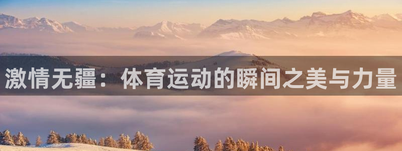 激情无疆：体育运动的瞬间之美与力量