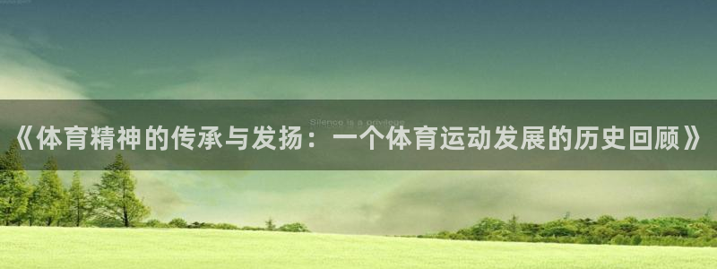 《体育精神的传承与发扬：一个体育运动发展的历史回顾》
