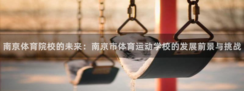 南京体育院校的未来：南京市体育运动学校的发展前景与挑战