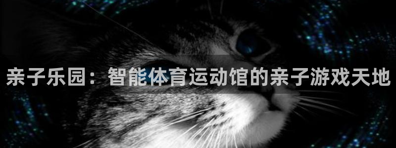 亲子乐园：智能体育运动馆的亲子游戏天地