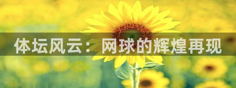 体坛风云：网球的辉煌再现