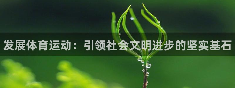 发展体育运动：引领社会文明进步的坚实基石