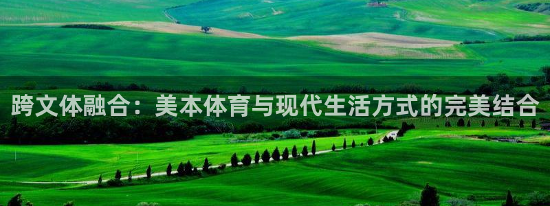 跨文体融合：美本体育与现代生活方式的完美结合