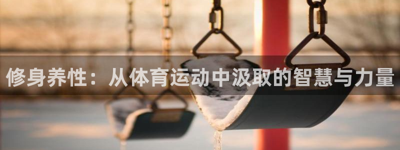 修身养性：从体育运动中汲取的智慧与力量