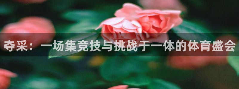 夺采：一场集竞技与挑战于一体的体育盛会