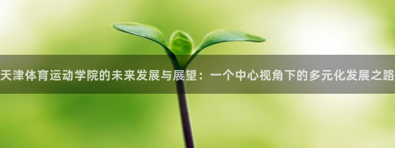 天津体育运动学院的未来发展与展望：一个中心视角下的多元化发展之路